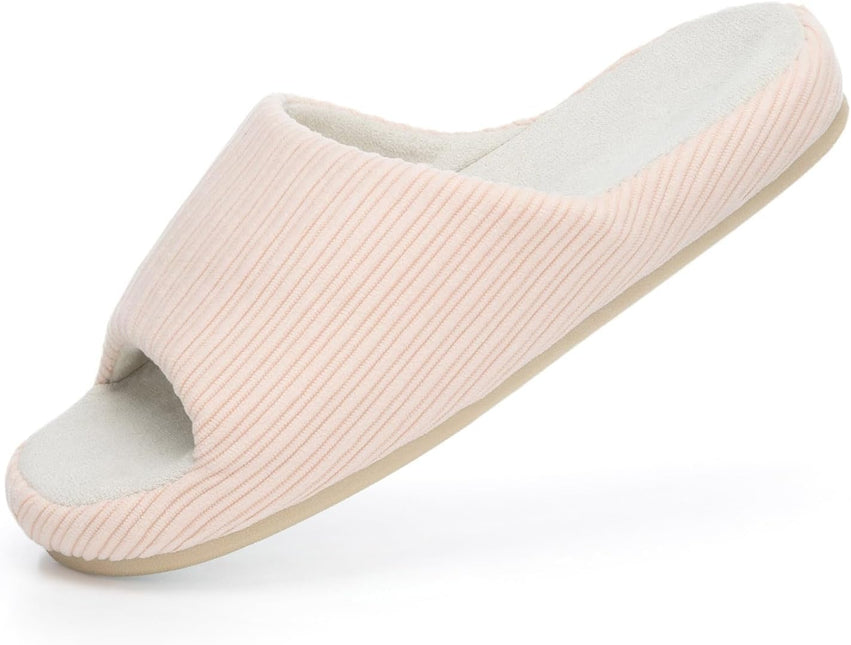 Scallop - Sakura Rosa