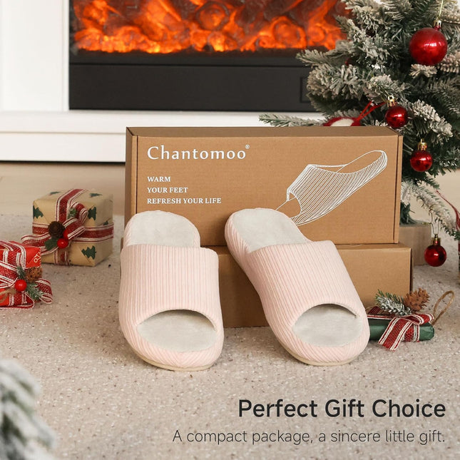 Scallop - Sakura Rosa