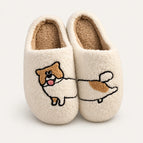 Corgi